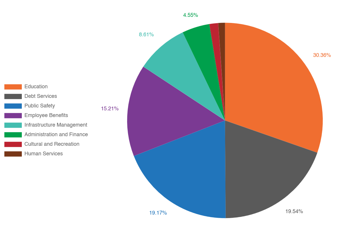 budget_chart_2026 pie chart image